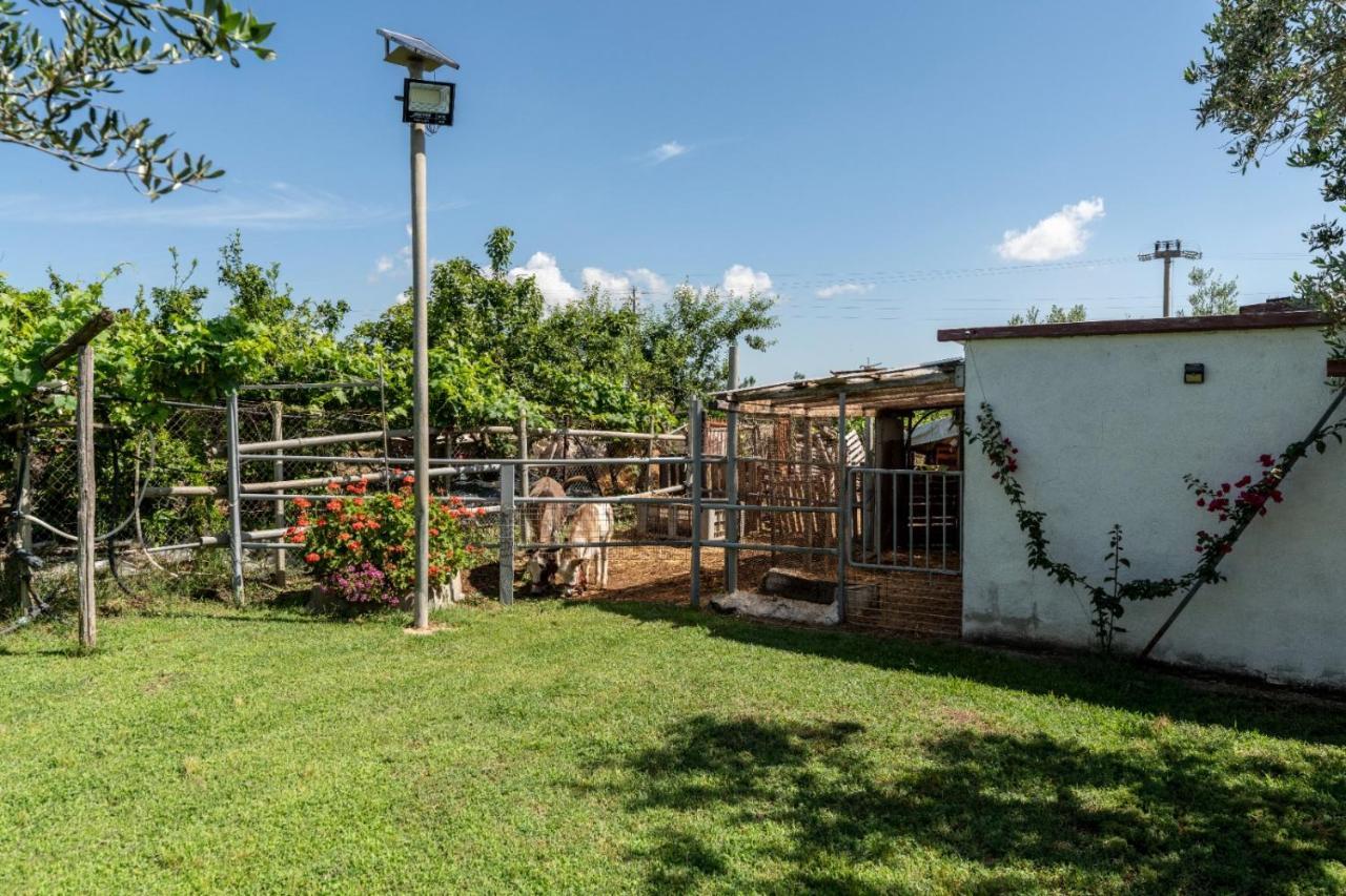 Angelo'S Country House Bernalda Extérieur photo